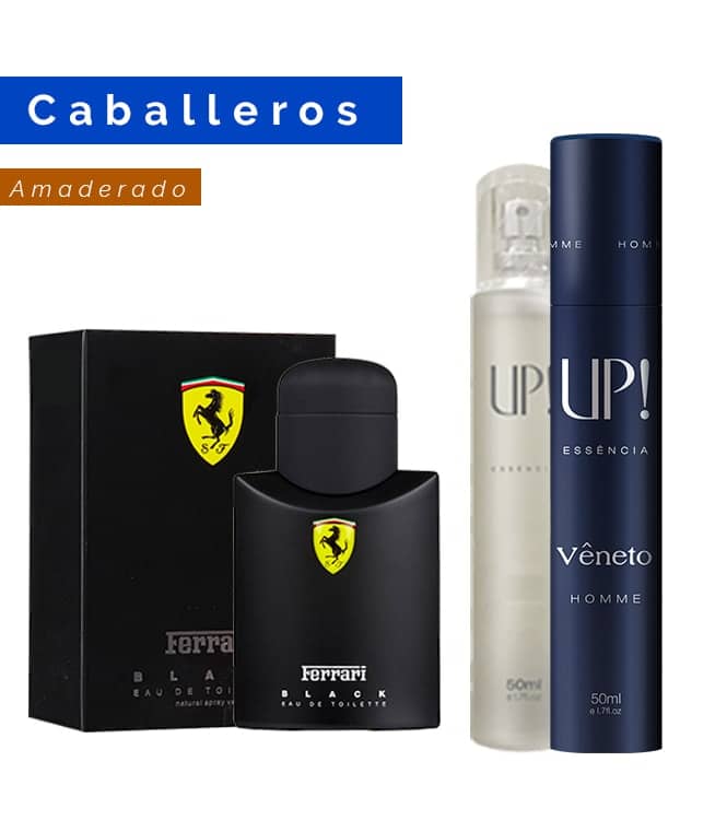 Perfume UP! Veneto